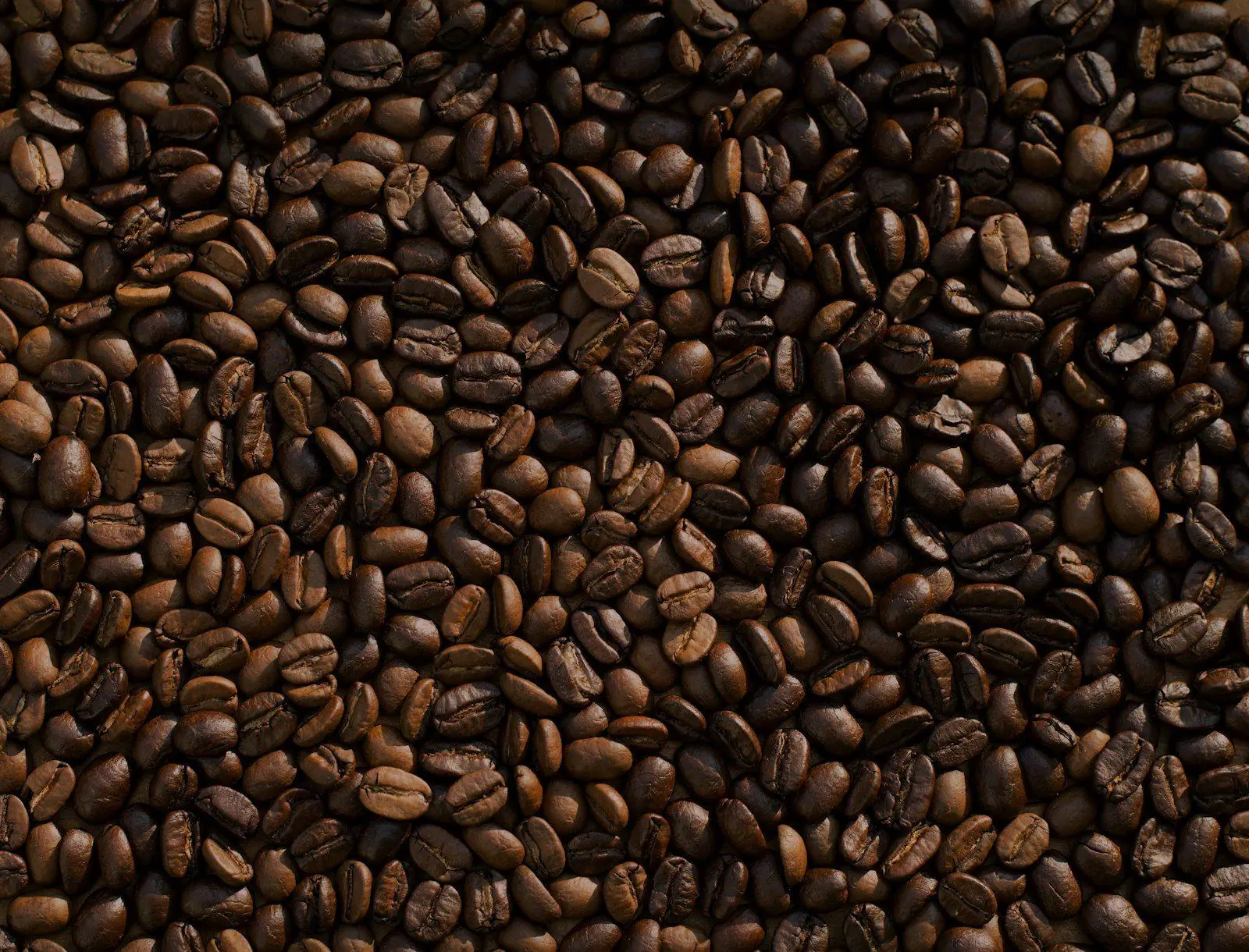 Coffee beans — an EUDR-traced commodity